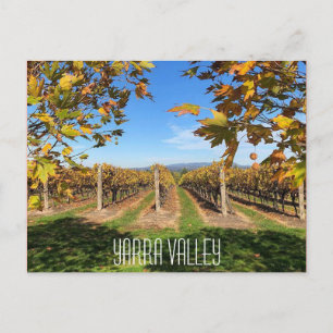 yarra valley naherfstwijn briefkaart