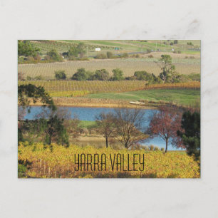 yarra valley vineyard briefkaart