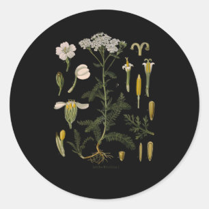 Yarrow Bloem Bloemen Botanische Plantaardige Illus Ronde Sticker
