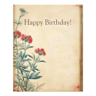 Yarrow bloem illustratie efemera foto afdruk