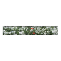 Yarrow Ptarmica "The Pearl" Maltese kruis