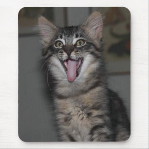 Yawning Kitten Muismat