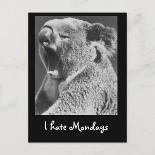 Yawning Koala Briefkaart