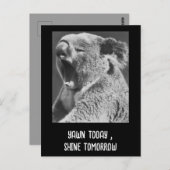 Yawning Koala-grappige zin Briefkaart (Voorkant / Achterkant)