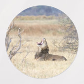 Yawning lion labels (Design 1)