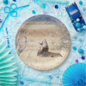 Yawning lion papieren bordje (Feest)