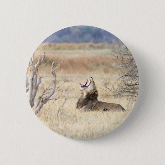 Yawning lion ronde button 5,7 cm (Voorkant)
