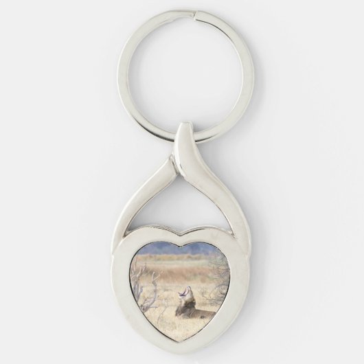 Yawning lion sleutelhanger (Voorkant)