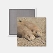 Yawning Prairie Dog Magnet (Recto/Verso)