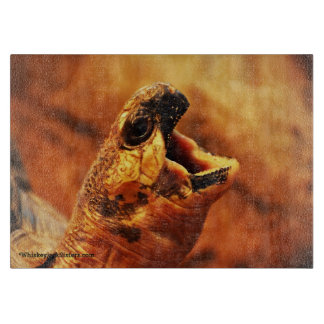 Yawning Radiated Tortoise Snijplank