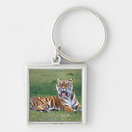 Yawning Tiger Sleutelhanger (Voorkant)