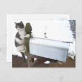 Yawning Tired Kitty Cat Cute Carte postale (Devant / Derrière)