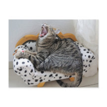 Yawning Tired Kitty Cat Cute Fun Briefkaart