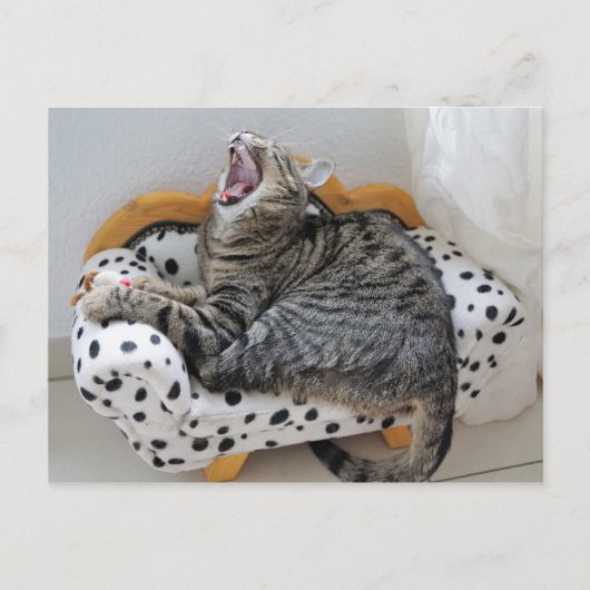 Yawning Tired Kitty Chat jolie carte postale (Devant)