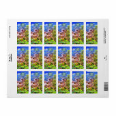 Yelapa Schilderachtig Path 0819 Adres Etiket (Full Sheet)