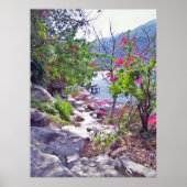 Yelapa Trail 821 Art Print (Voorkant)