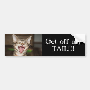 Yelling Cat Bumpersticker