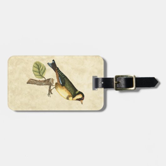 Yellow and Green Bird Perched on a Little Branch Bagagelabel (Voorkant horizontaal)