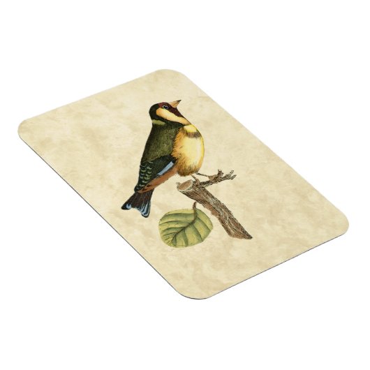 Yellow and Green Bird Perched on a Little Branch Magneet (Rechterzijde)