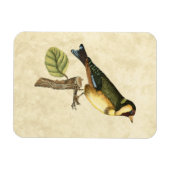 Yellow and Green Bird Perched on a Little Branch Magneet (Horizontaal)