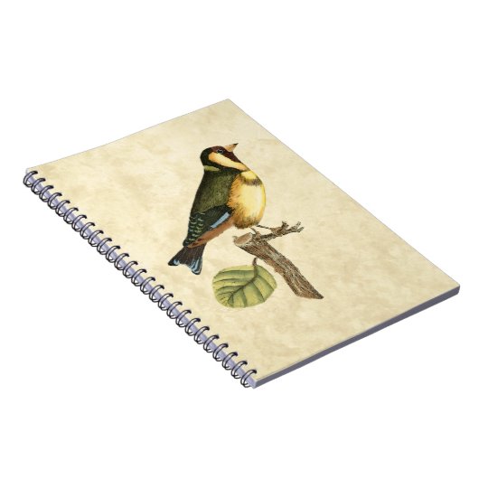 Yellow and Green Bird Perched on a Little Branch Notitieboek (Rechterzijde)