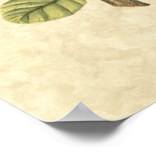 Yellow and Green Bird Perched on a Little Branch Poster (Hoek)