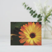 Yellow and Orange Pot Marigold Briefkaart (Staand voorkant)