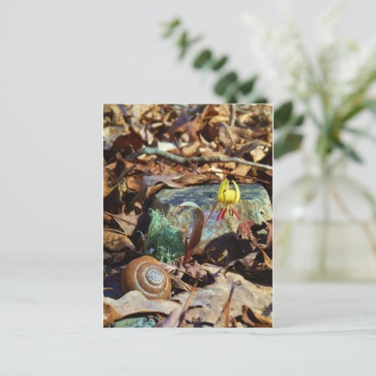 Yellow and Plum Trout Lily en Snagel Shell Briefkaart (Staand voorkant)