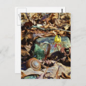 Yellow and Plum Trout Lily en Snagel Shell Briefkaart (Voorkant / Achterkant)