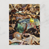 Yellow and Plum Trout Lily en Snagel Shell Briefkaart (Voorkant)
