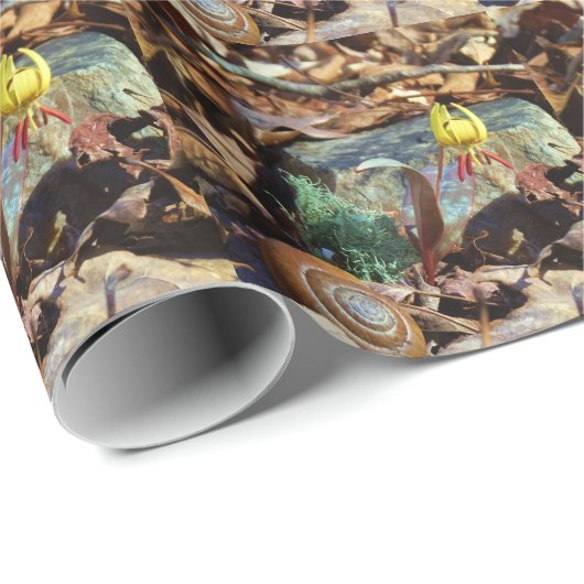 Yellow and Plum Trout Lily en Snagel Shell Cadeaupapier (Rol Hoek)