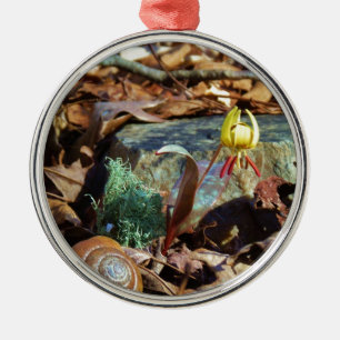 Yellow and Plum Trout Lily en Snagel Shell Metalen Ornament