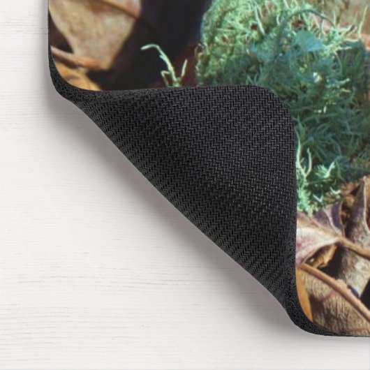 Yellow and Plum Trout Lily en Snagel Shell Muismat (Hoek)