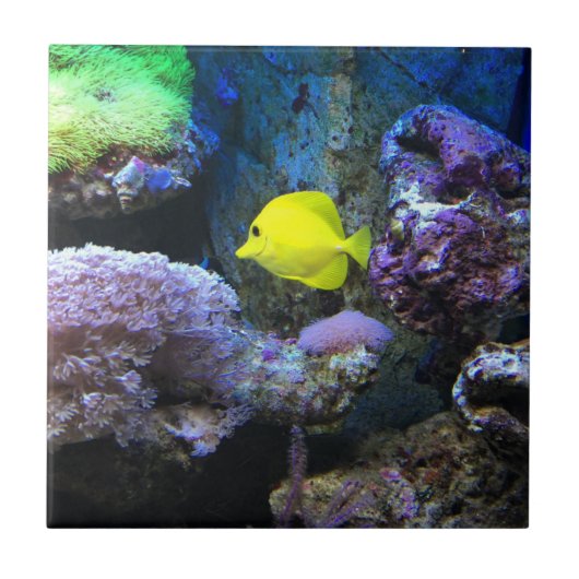 Yellow Angelfish Tegeltje (Voorkant)