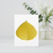 Yellow Aspen Leaf #5 Briefkaart (Staand voorkant)