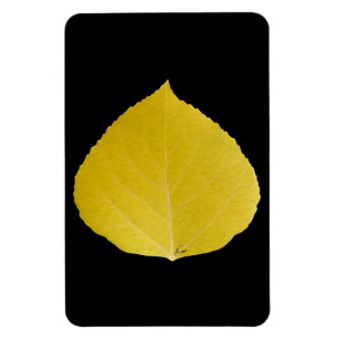 Yellow Aspen Leaf #5 Magneet