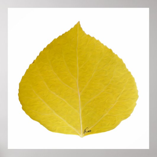 Yellow Aspen Leaf #5 Poster (Voorkant)