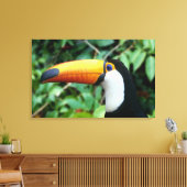 Yellow Beaked Toucan Canvas Afdruk (Insitu (Woonkamer))