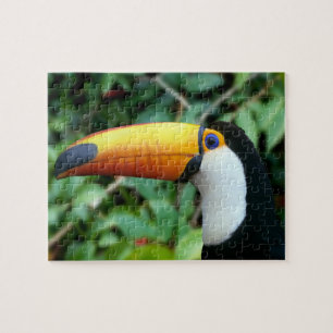 Yellow Beaked Toucan Legpuzzel