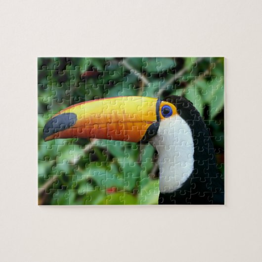 Yellow Beaked Toucan Legpuzzel (Horizontaal)