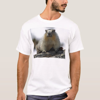 Yellow Bellied Marmot T-shirt