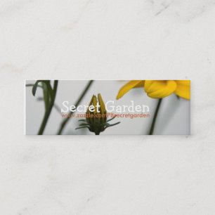 Yellow Bidens Mini Visitekaartje