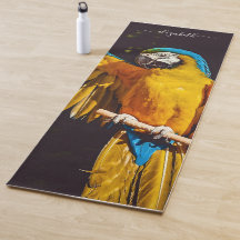 Yellow Bird Wildlife  ara