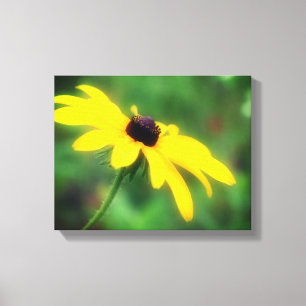 Yellow Black Eyed Susan Flower Canvas Afdruk