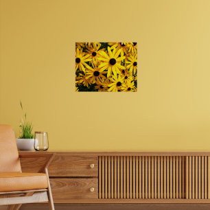 Yellow Black Eyed Susans Floral Poster