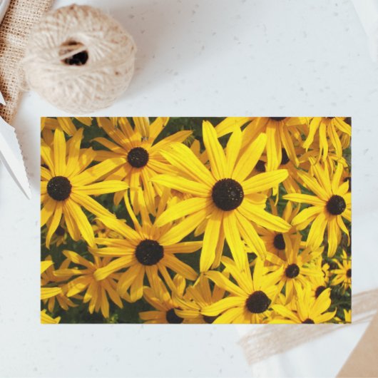 Yellow Black Eyed Susans Floral Tissuepapier