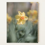 Yellow Blossom Daffodil Natuur Foto Planner (Achterkant)