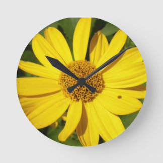 Yellow blossom with green leaves ronde klok