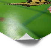 Yellow Butterfly foto Foto Afdruk (Hoek)