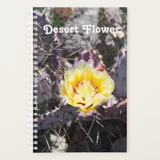 Yellow cactus (Devant)